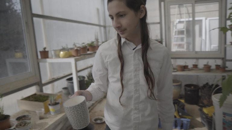 חקלאות